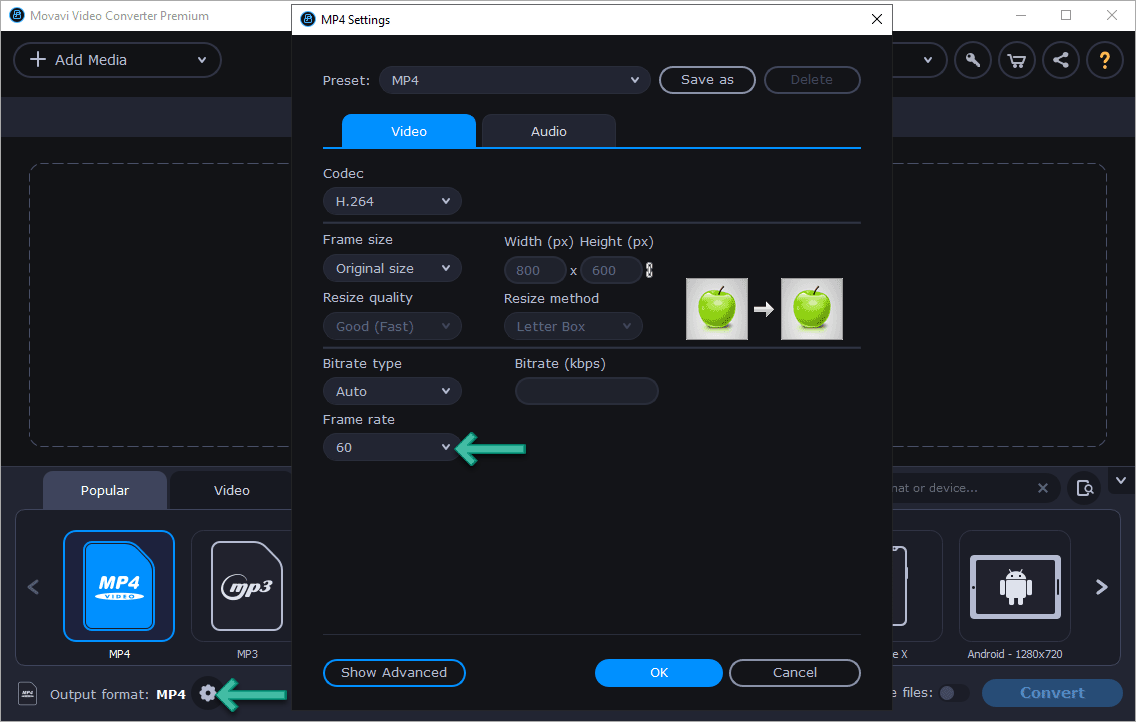 Movavi Set FPS