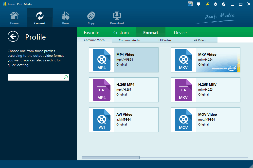 PC Common Profiles