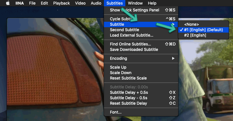 IINA Subtitle Mac