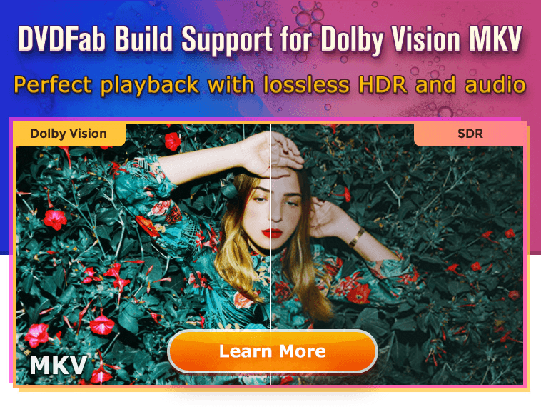 UHD to Dolby Vision MKV