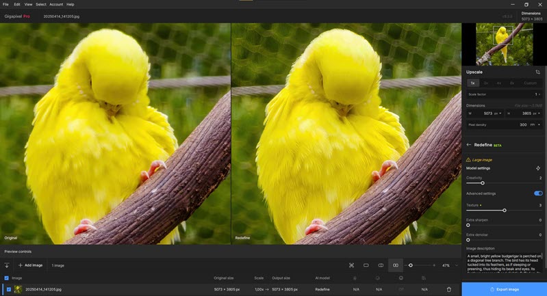 Gigapixel Redefine